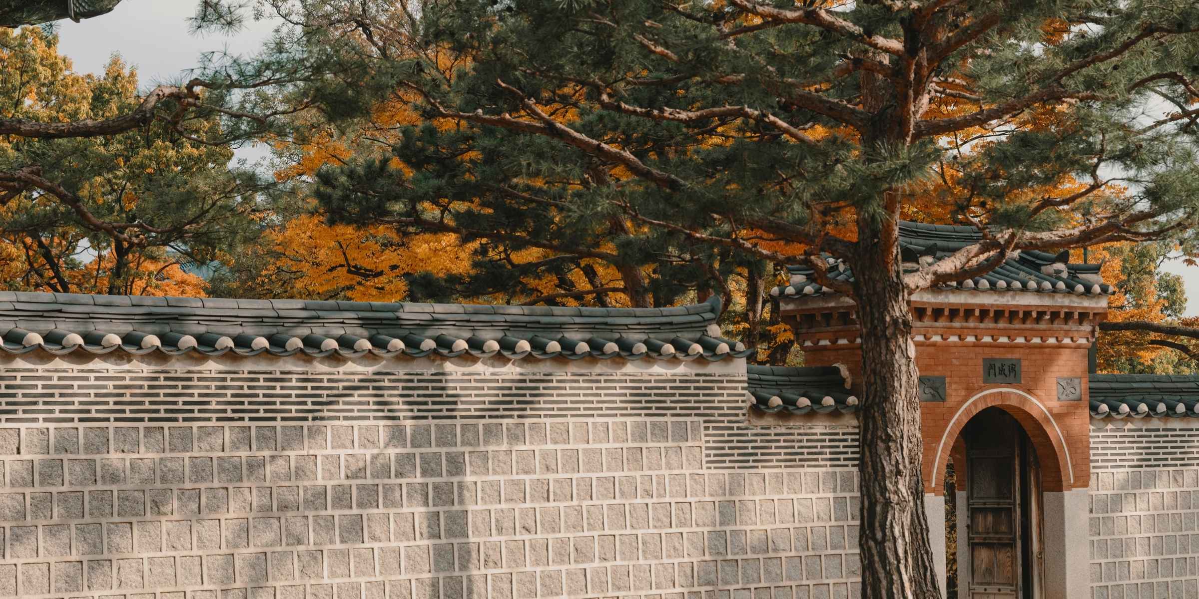 The Rise of Korean Skincare
