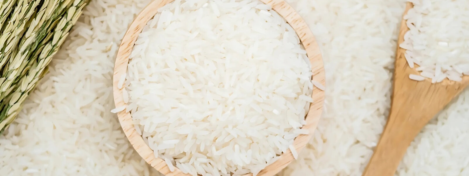 Why is rice extract good for your skin?