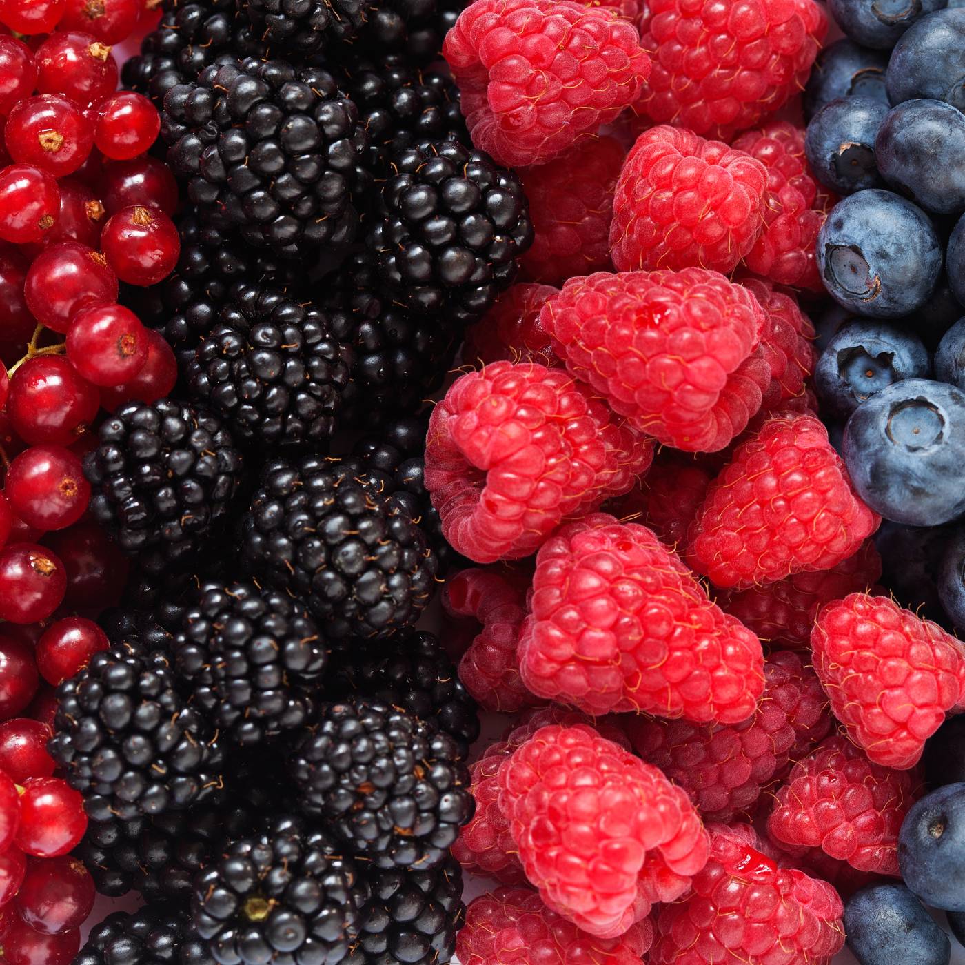 Assorted berries including blackberries, raspberries, and blueberries.