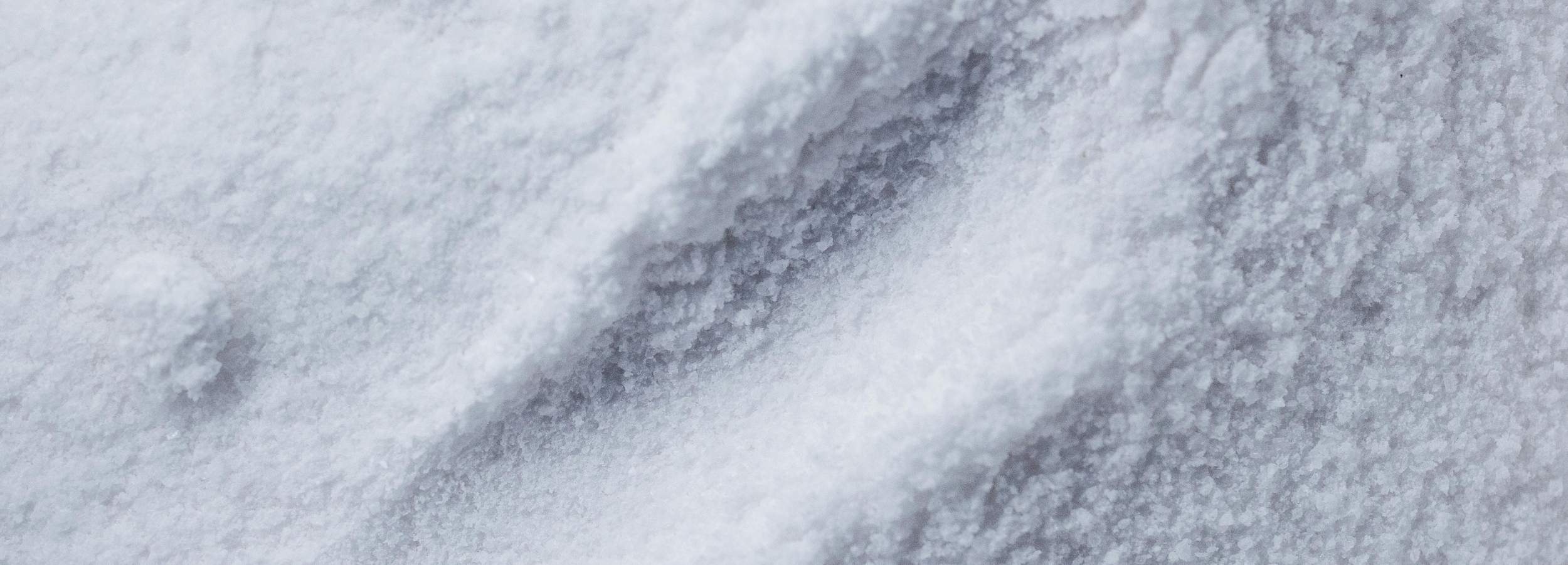 Close-up of textured collagen powder