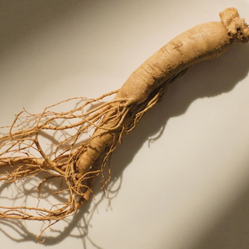 Ginseng root on a beige background