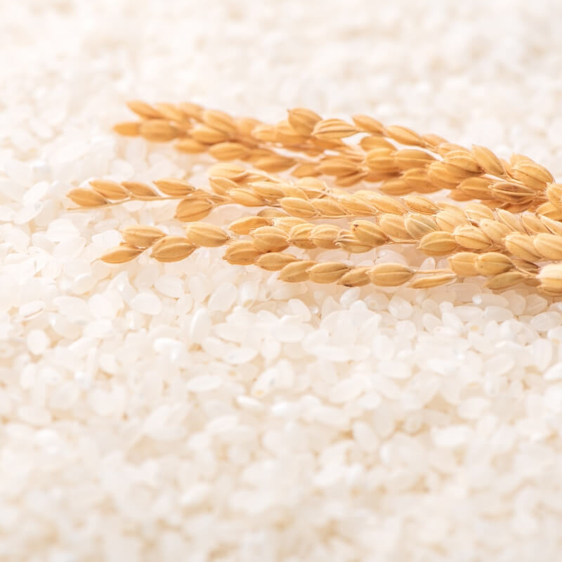 Close-up of rice grains with a few whole grains on top