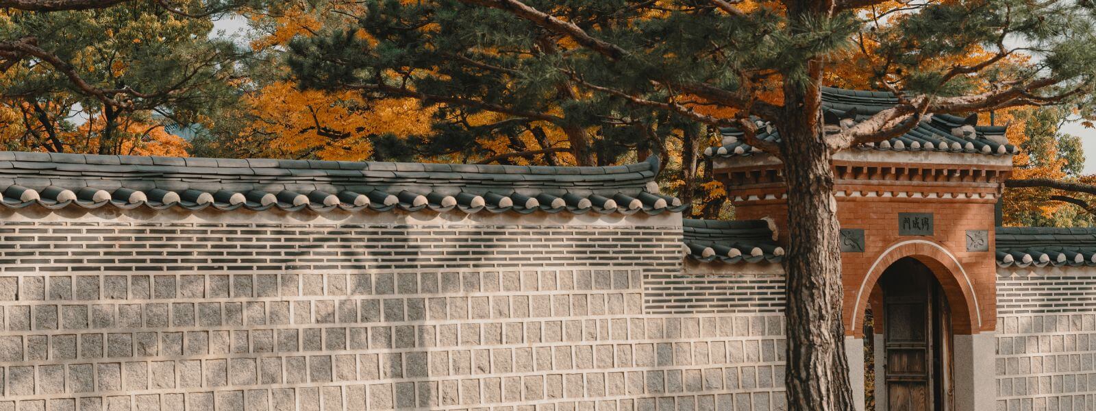 The Rise of Korean Skincare