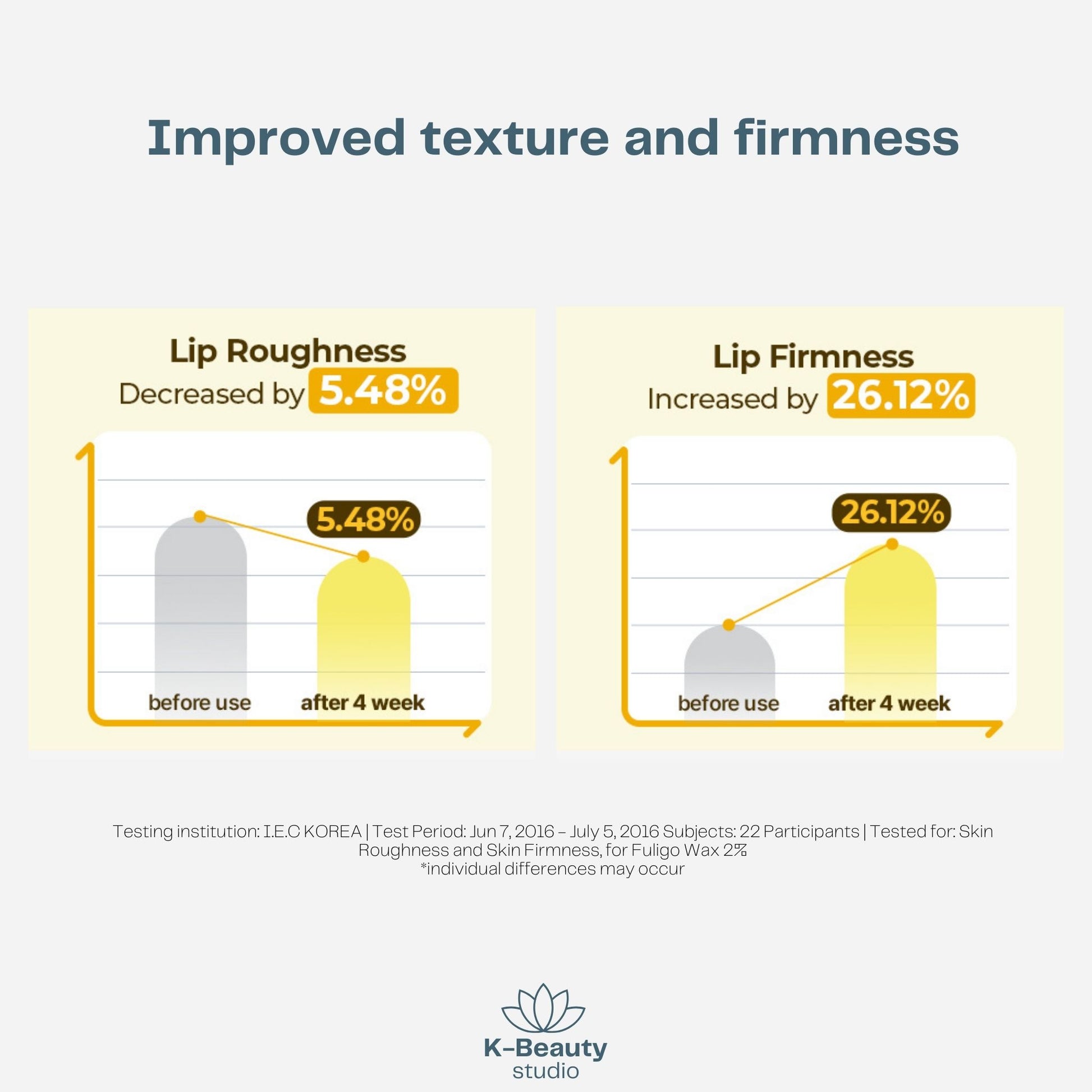 Torriden Solid In Ceramide Lip Essence Results
