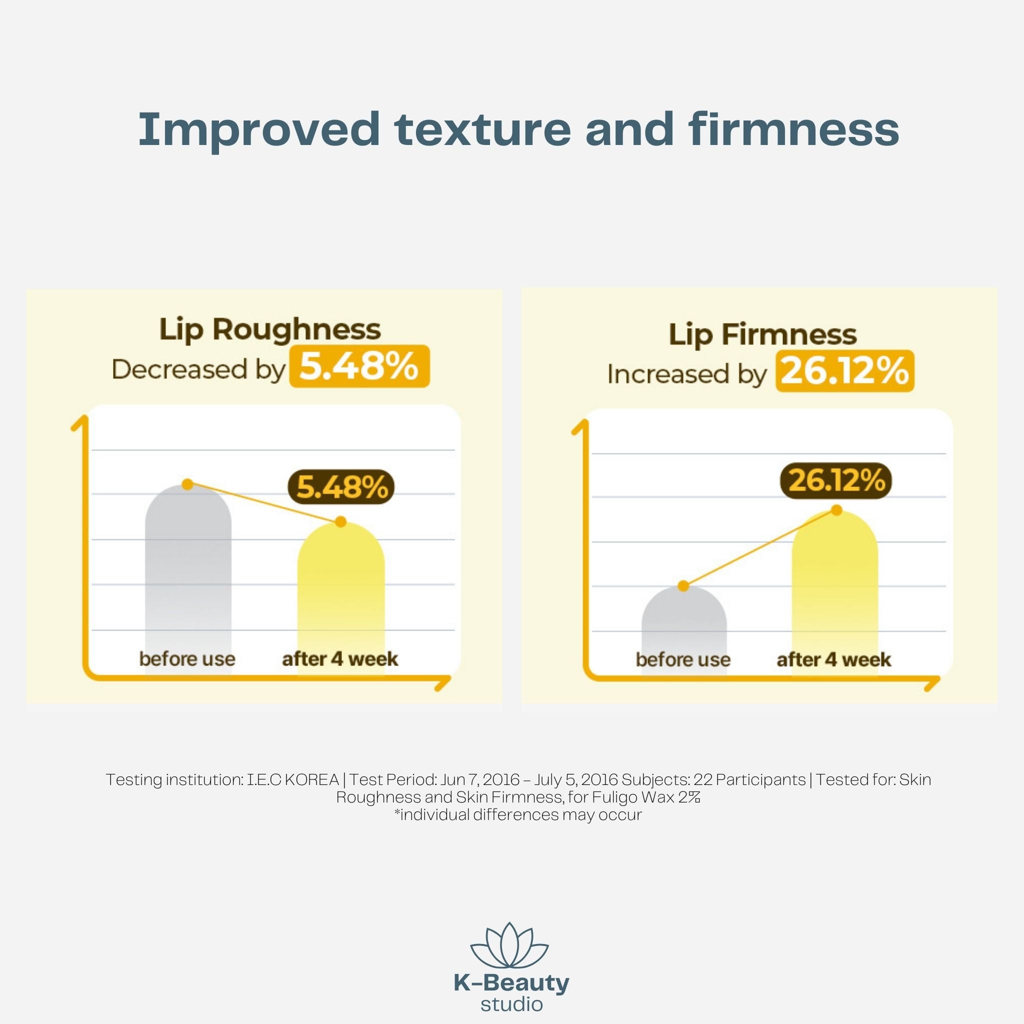 Torriden Solid In Ceramide Lip Essence Results