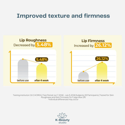 Torriden Solid In Ceramide Lip Essence Results