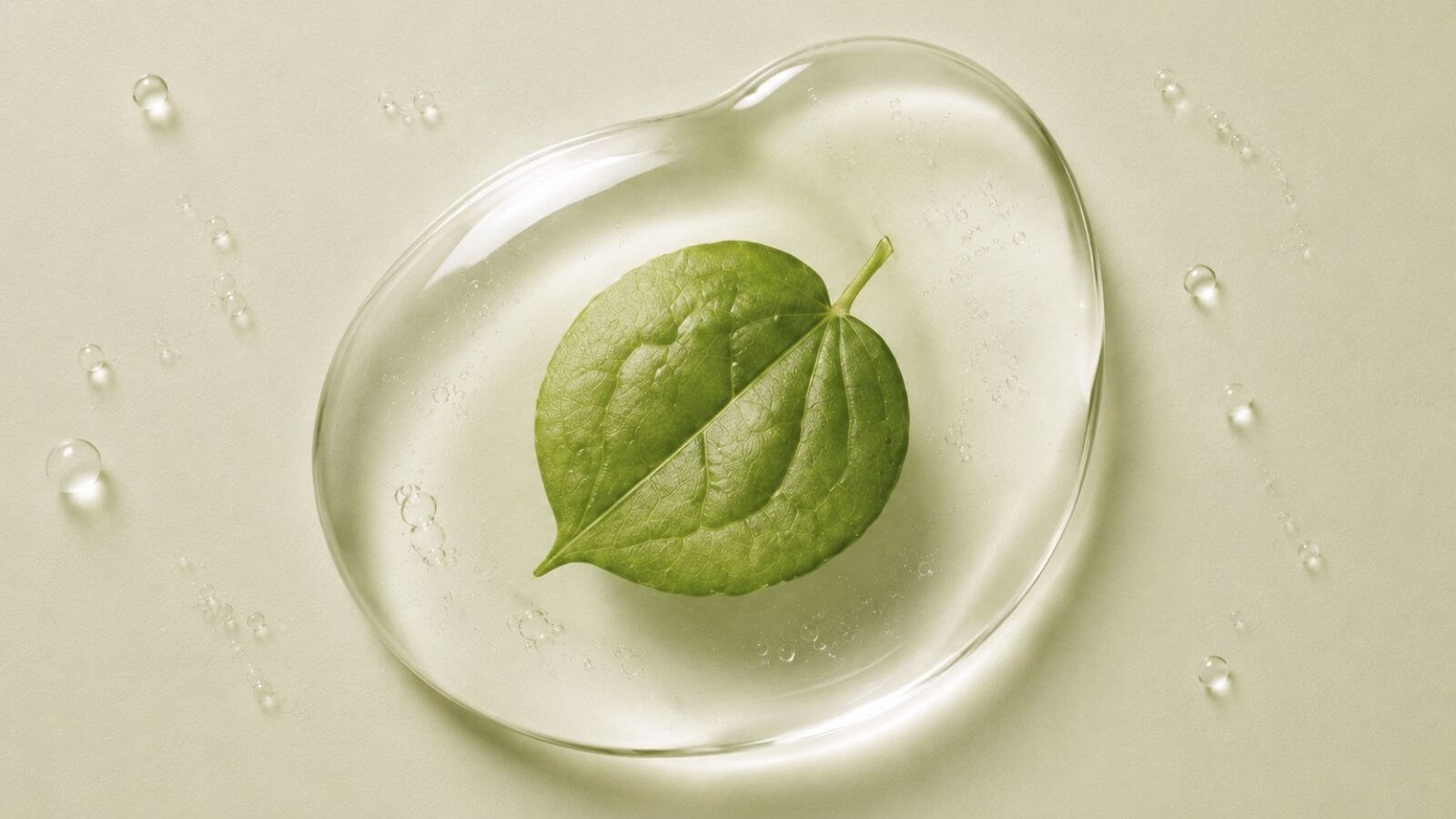 Heartleaf